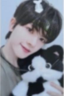 hl线下1 猫咪ver.