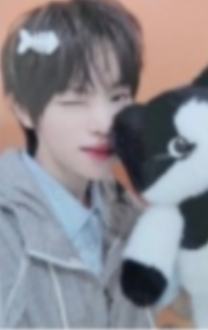 hl线下3 猫咪ver.
