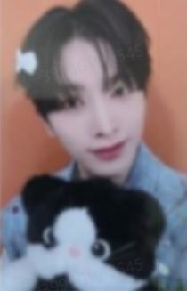 hl线下4 猫咪ver.