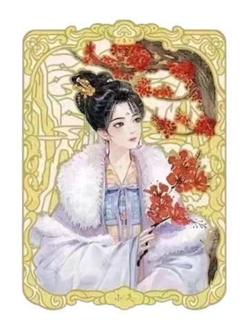 小夭2-遇意飞花令福袋