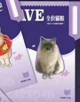 文件袋B