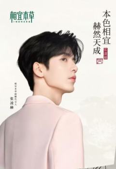相宜本草代言情书卡