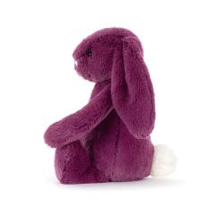 Bashful Allium Bunny-资料图