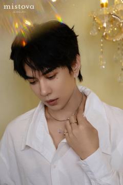 Mistova代言周边