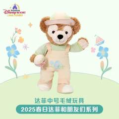 达菲-25上迪春日系列中号公仔-资料图