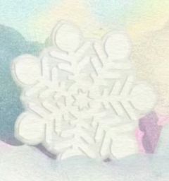 冬日记忆单人款香挂精油 3