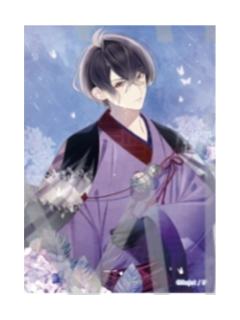 基诺1-紫阳花珠光卡