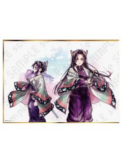 蝴蝶忍&蝴蝶香奈惠-B赏色纸