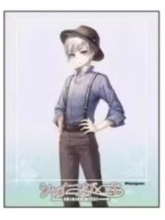 海哲-eeo联动 A3一周年纪念 亚克力卡片