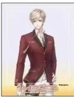 洛昂-eeo联动 A3一周年纪念 亚克力卡片