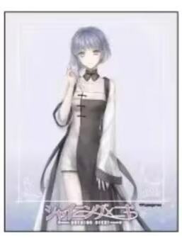 夜宵-eeo联动 A3一周年纪念 亚克力卡片