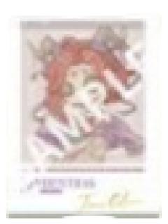 祭司-悠闲假日系列Q版胶片小卡小卡套组