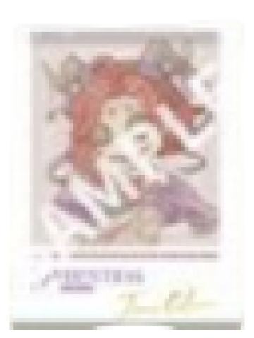 祭司-悠闲假日系列Q版胶片小卡小卡套组