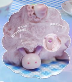水母-资料图