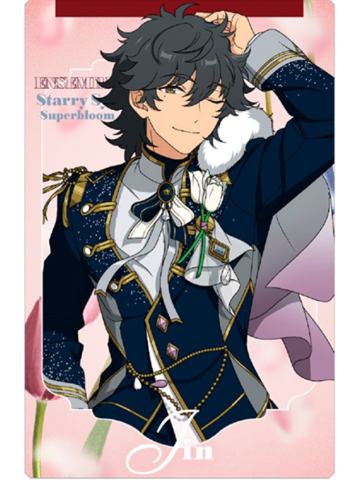 佐贺美阵-SS4收藏小卡