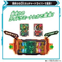 DX 凯米卡组收集板-资料图