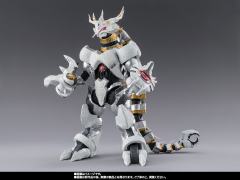 SHF 加拉特隆-资料图