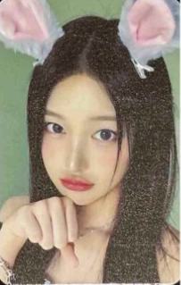 araise幸运卡4 兔子玩偶ver.