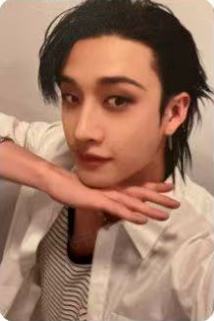 hmv1 ver.B