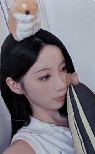 ms1.0 4 线上仓鼠ver.