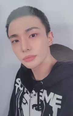 nemoz预售4