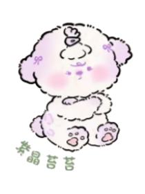 紫晶苔苔