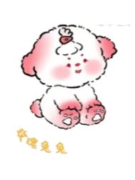 玫瑰兔兔