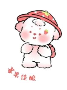 惊喜款-莓果佳酿