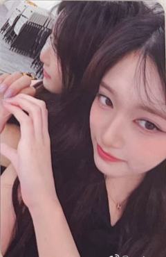 ms预售 瑞