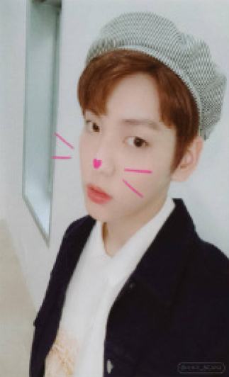 cat&dog ver.A