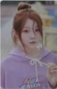 holder版专卡5 ver.C