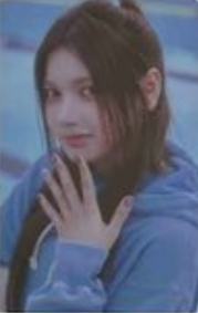 holder版专卡3 ver.C