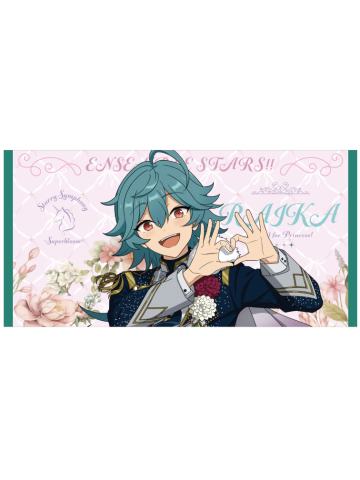 宝丈莱香-SS4视觉大毛巾