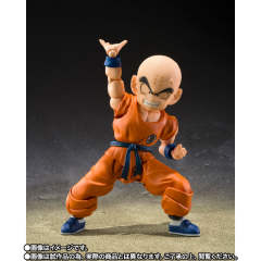 SHF 克林-孙悟空的亲友