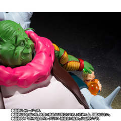 SHF 最长老-资料图