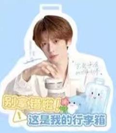 笛欧代言行李牌