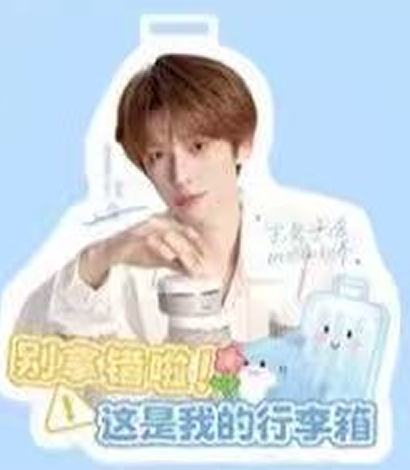 笛欧代言行李牌