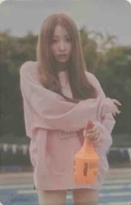 holder版专卡2 ver.C