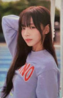 holder版专卡8 ver.C