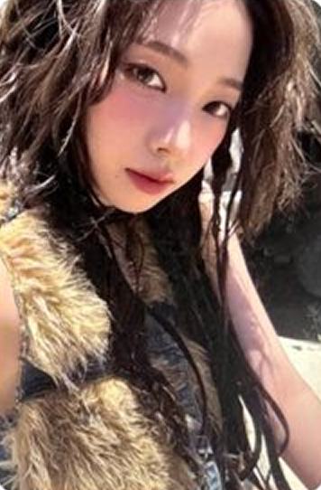 日本限定专卡 柚