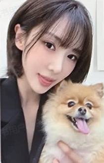 官咖幸运卡 狗 ver.B