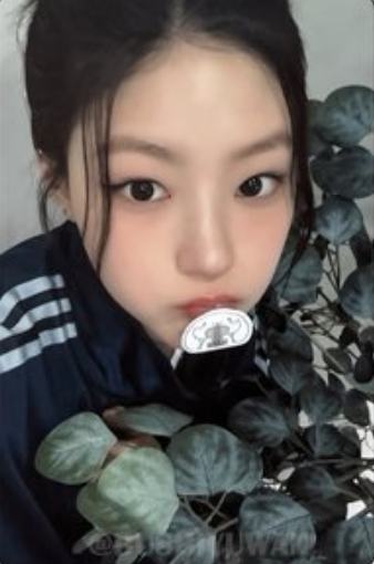 ms签售7.0 4 角色贴纸ver.