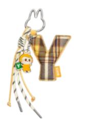 Y