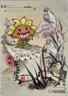 岸芷汀兰