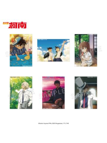 夏日时光ver.相卡