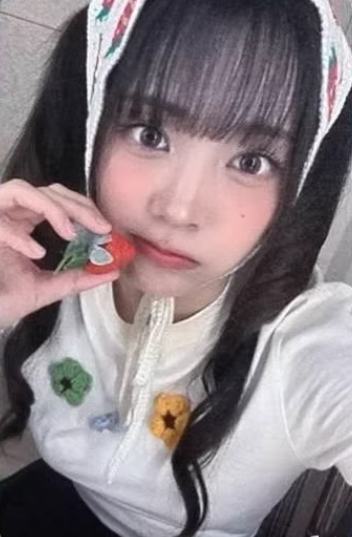br2.0中签卡燕 草莓ver.