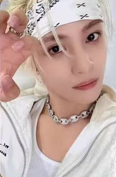 am签售 羊