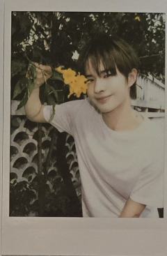 回忆录拍立得6 ver.4