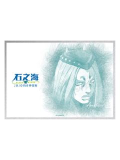 纳鲁西索·安娜苏-快闪限定色纸S5