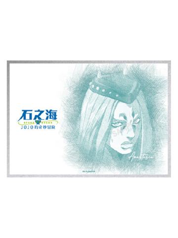 纳鲁西索·安娜苏-快闪限定色纸S5